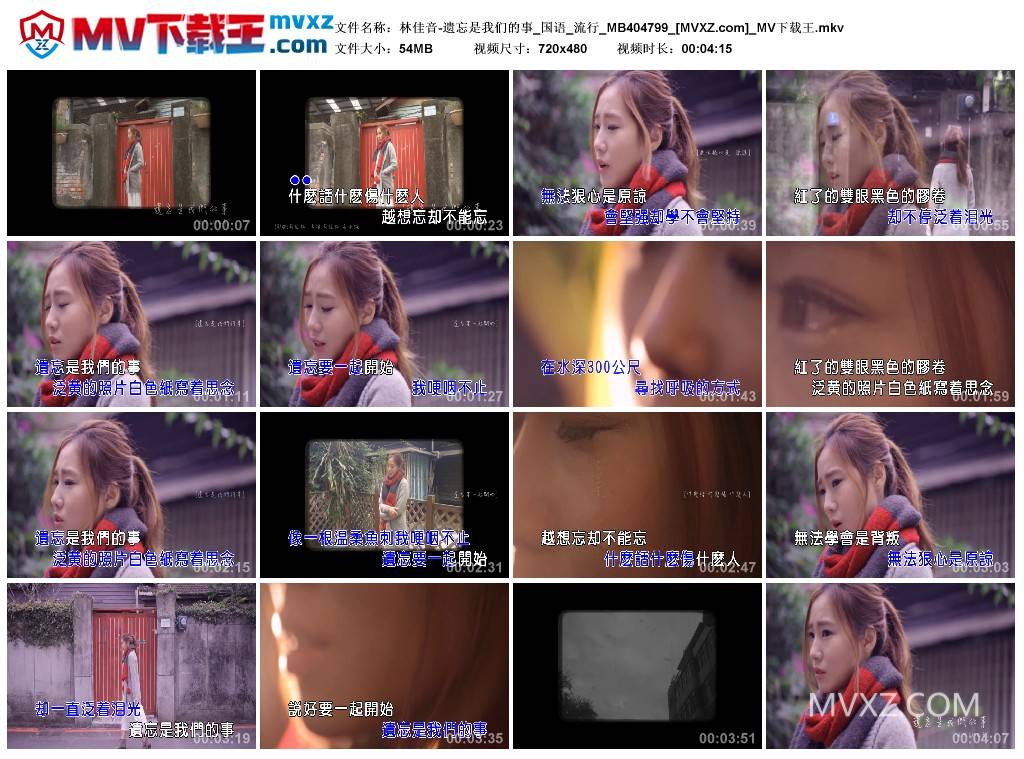 林佳音-遗忘是我们的事_国语_流行_MB404799